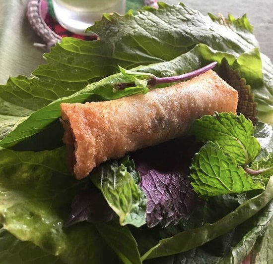Organic Farm To Table Cooking Class in Vietnamese Agricultural Village