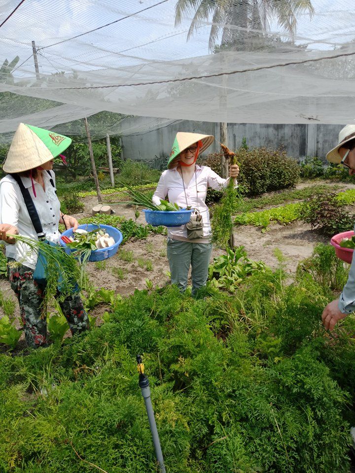 Organic Farm To Table Cooking Class in Vietnamese Agricultural Village