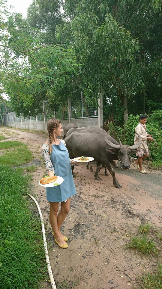 Organic Farm To Table Cooking Class in Vietnamese Agricultural Village