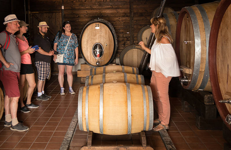 Organic "Superiore" Wine Tasting with Lunch on Vesuvius