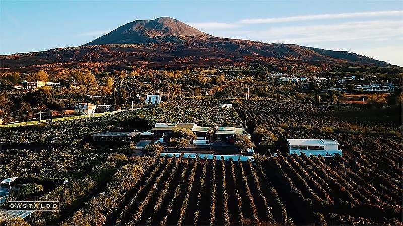 Organic "Superiore" Wine Tasting with Lunch on Vesuvius
