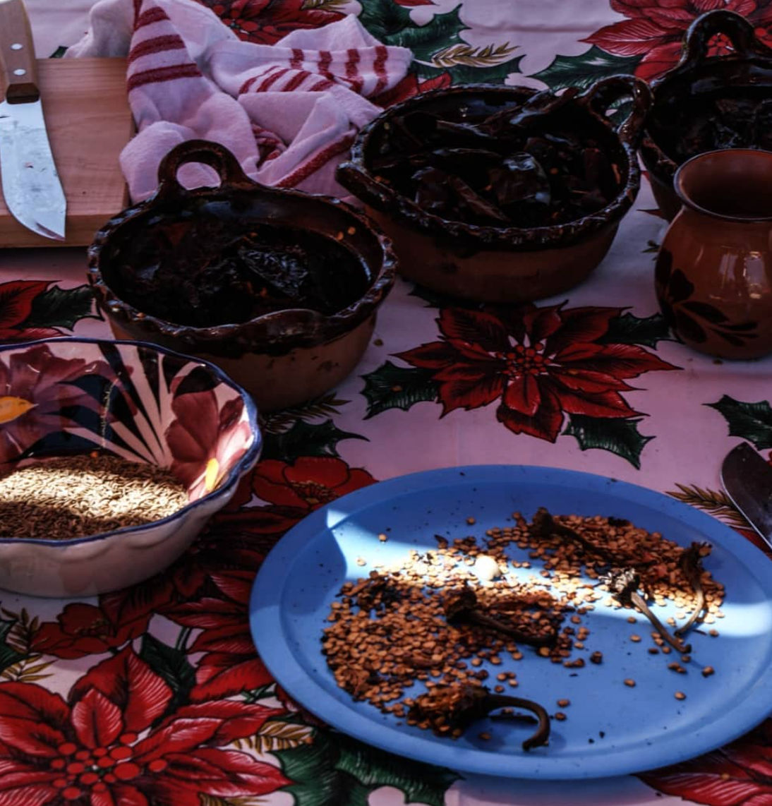 Traditional Mexican Cooking in a Small Otomí Community with a Master Artisan
