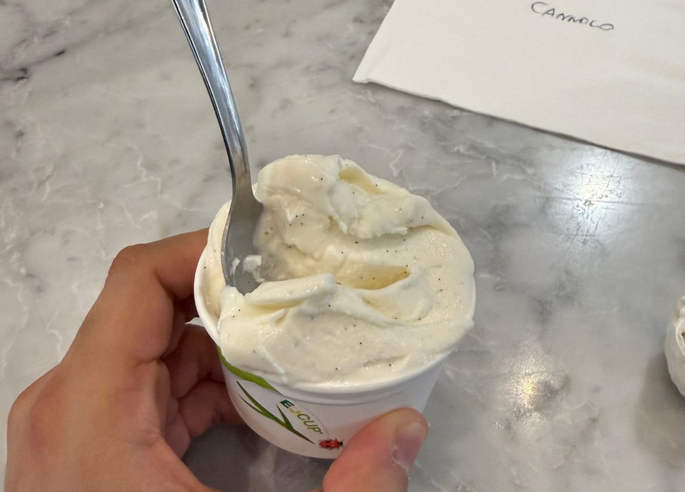 Palermo Fresh Pasta Cooking Class with Gelato Demonstration