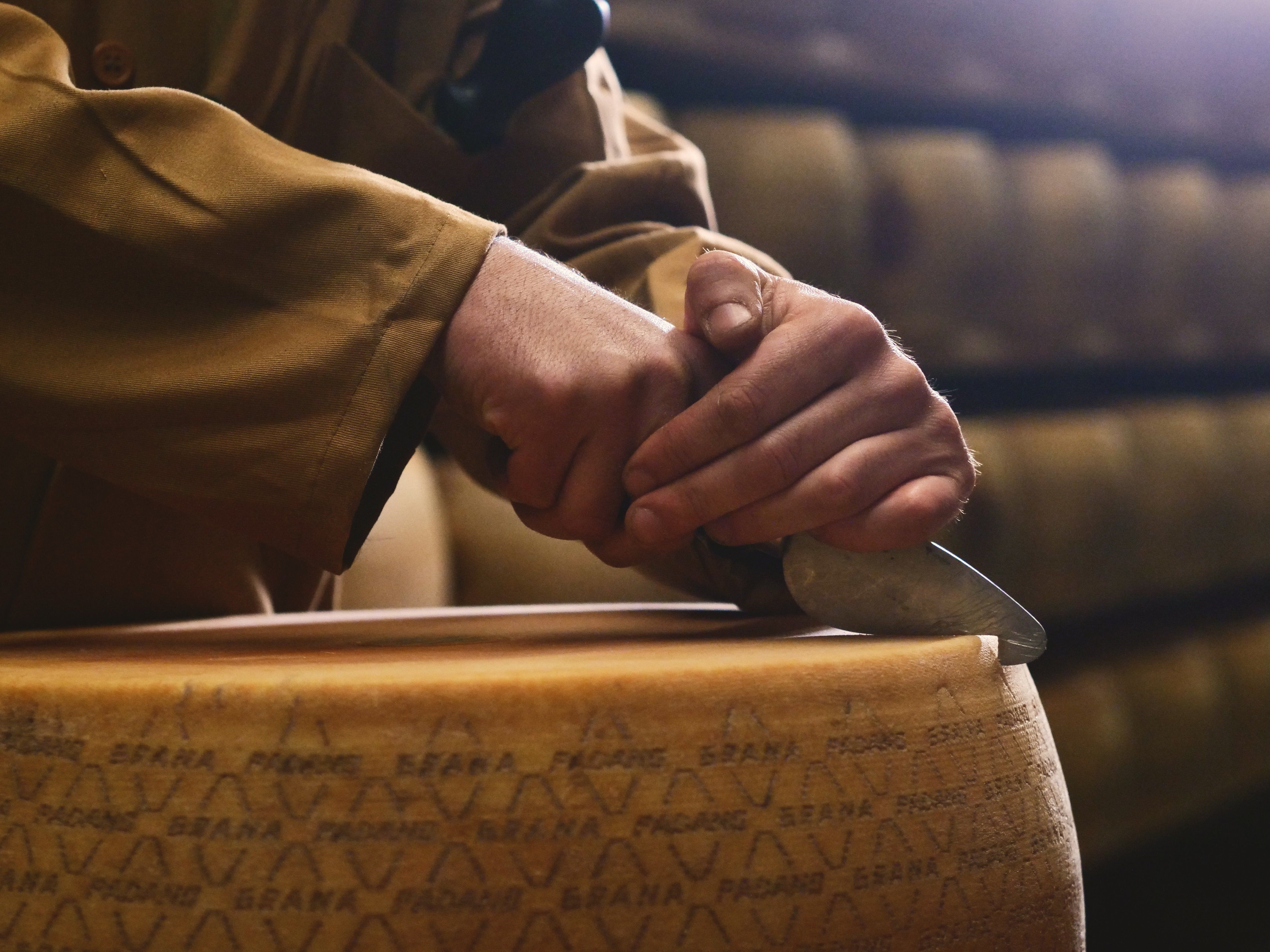Experience Parmigiano Reggiano Cheese Tasting Tour in Parma