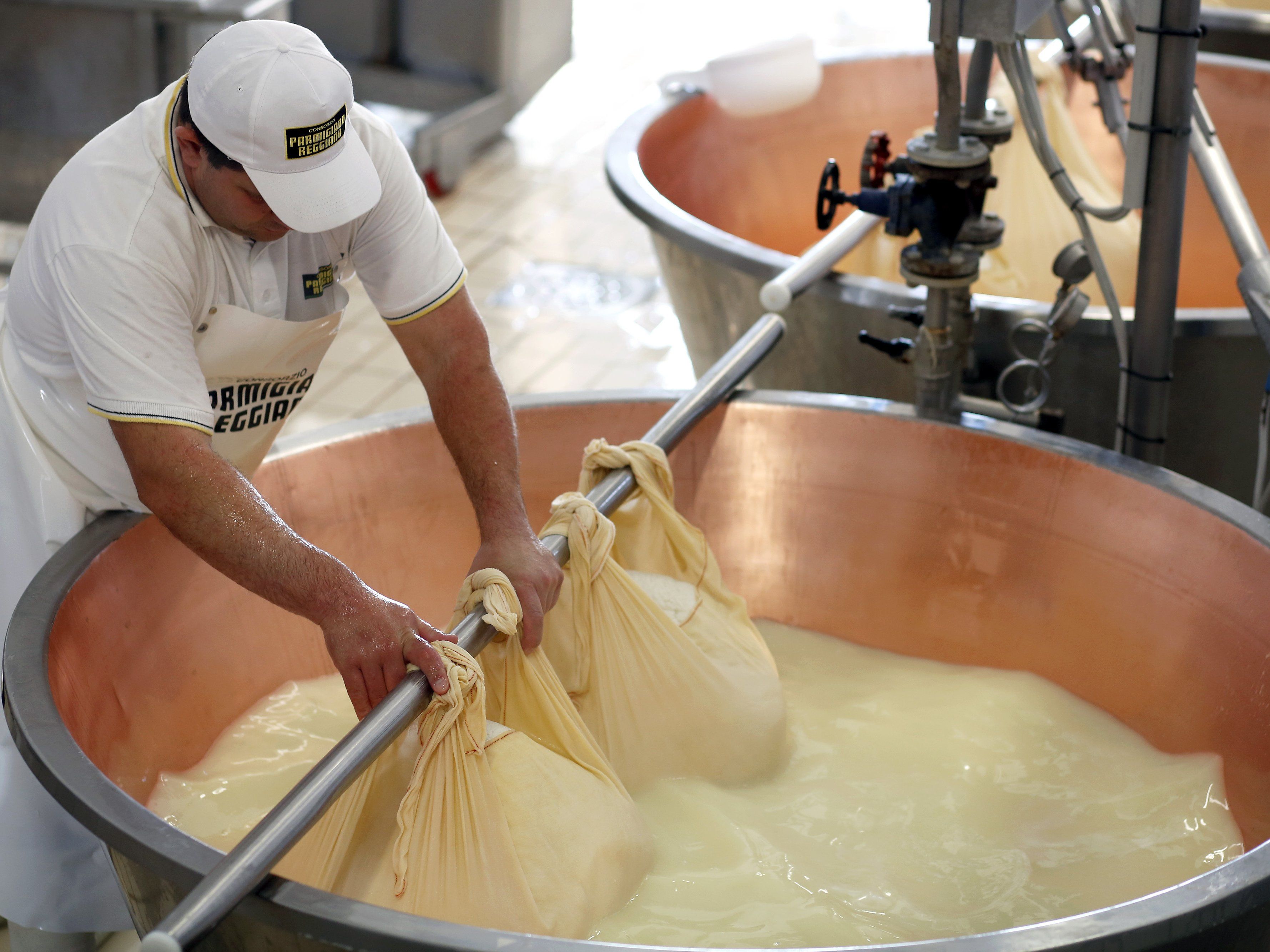 Experience Parmigiano Reggiano Cheese Tasting Tour in Parma
