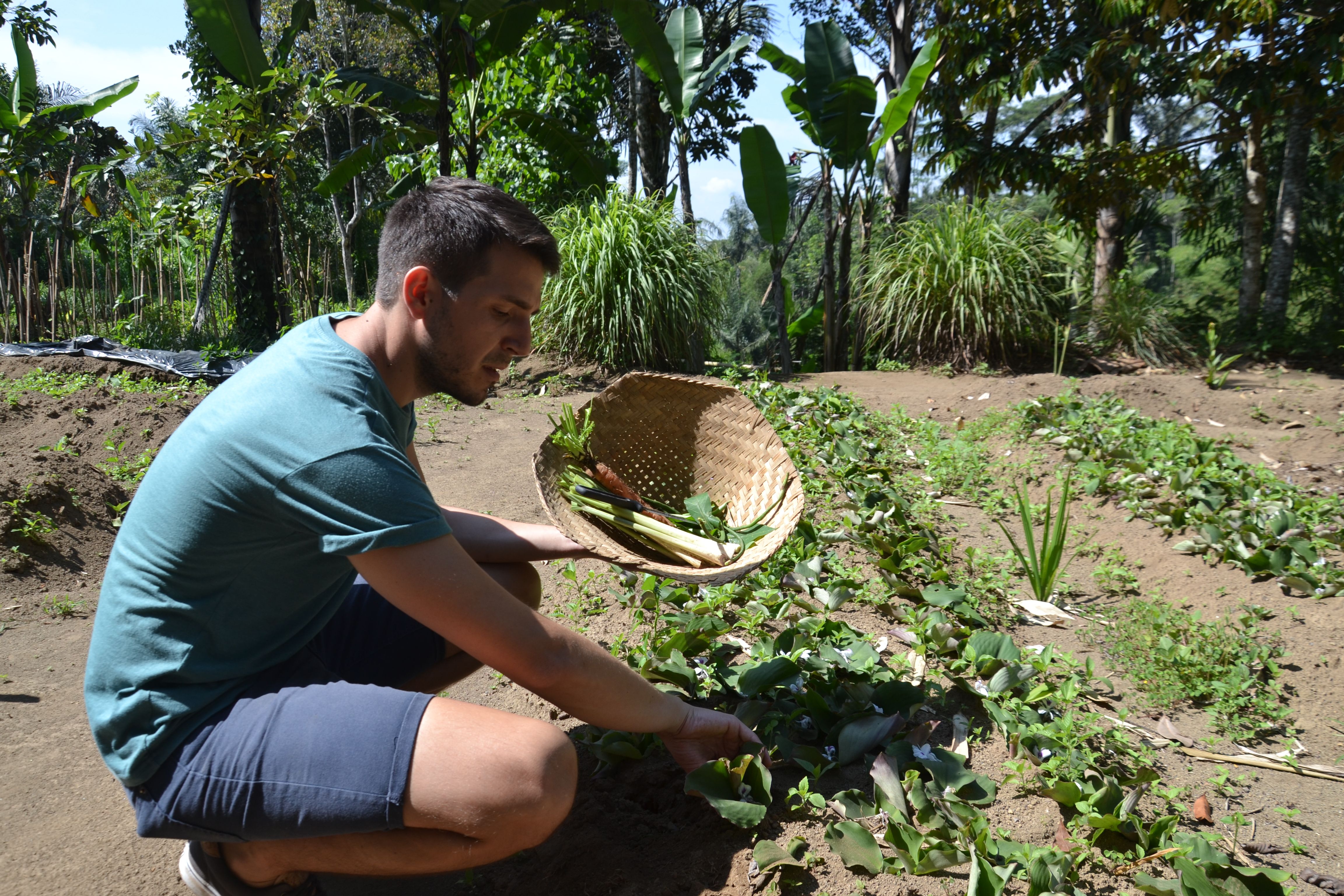 Advanced Balinese Cooking Class on Organic Farm - Morning Class