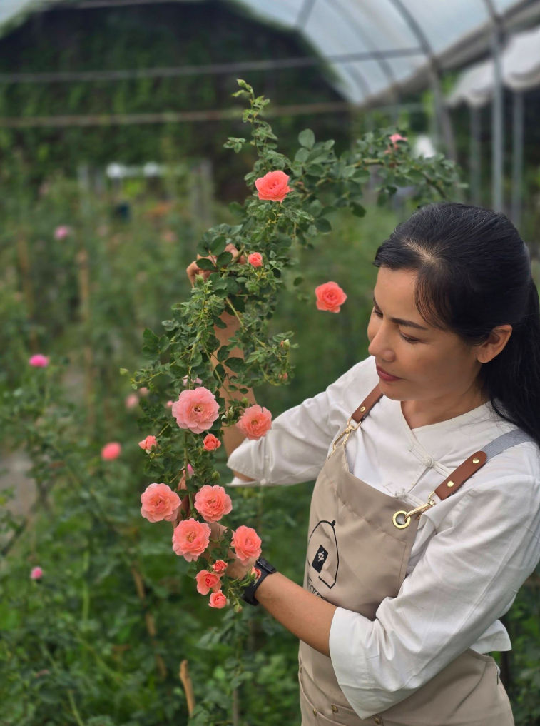 Traditional Ayurvedic Cooking Class & Wellness Experience