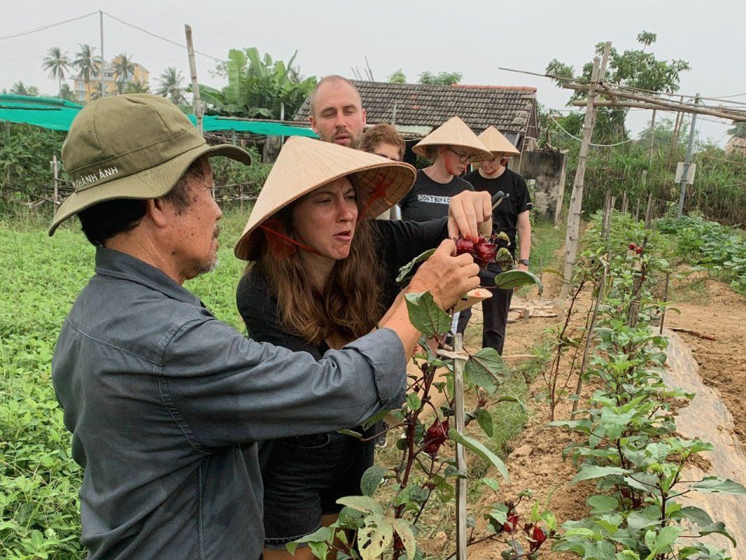 Plant-Based Cooking Class in Organic Farm with Market Tour