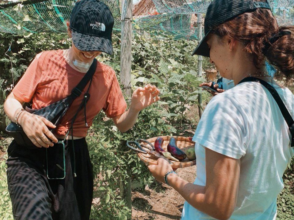 Plant-Based Cooking Class in Organic Farm with Market Tour