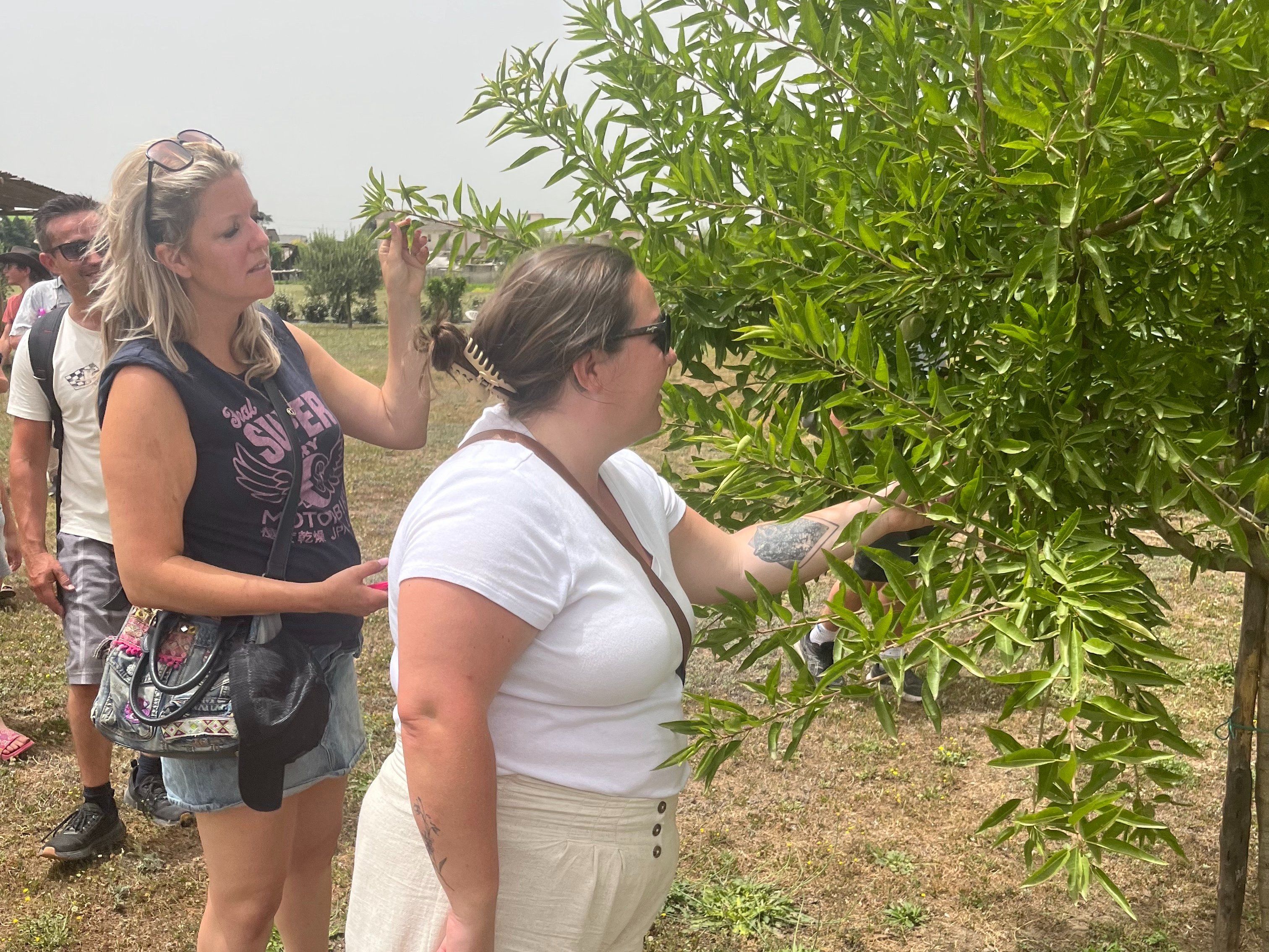 Pompei Culinary Class: Fresh Pasta and Wine Tasting