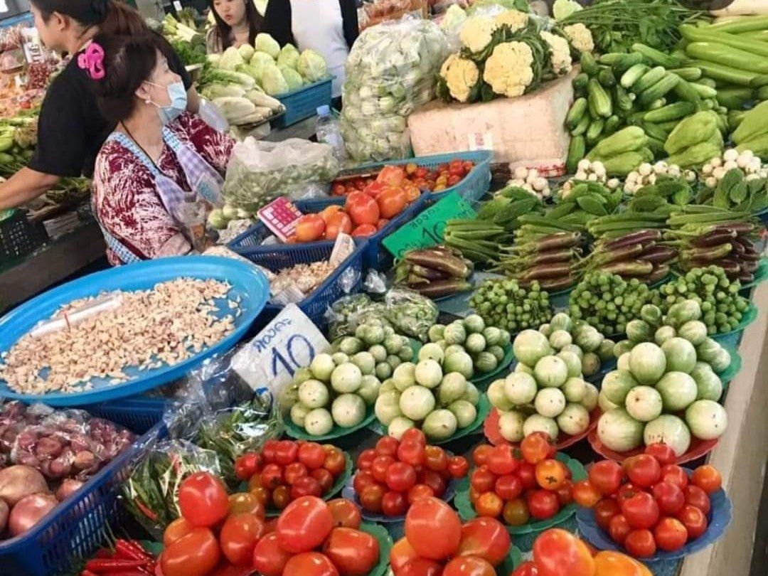 Private Class Morning & Evening with Fresh Ingredients at Organic Garden & Market