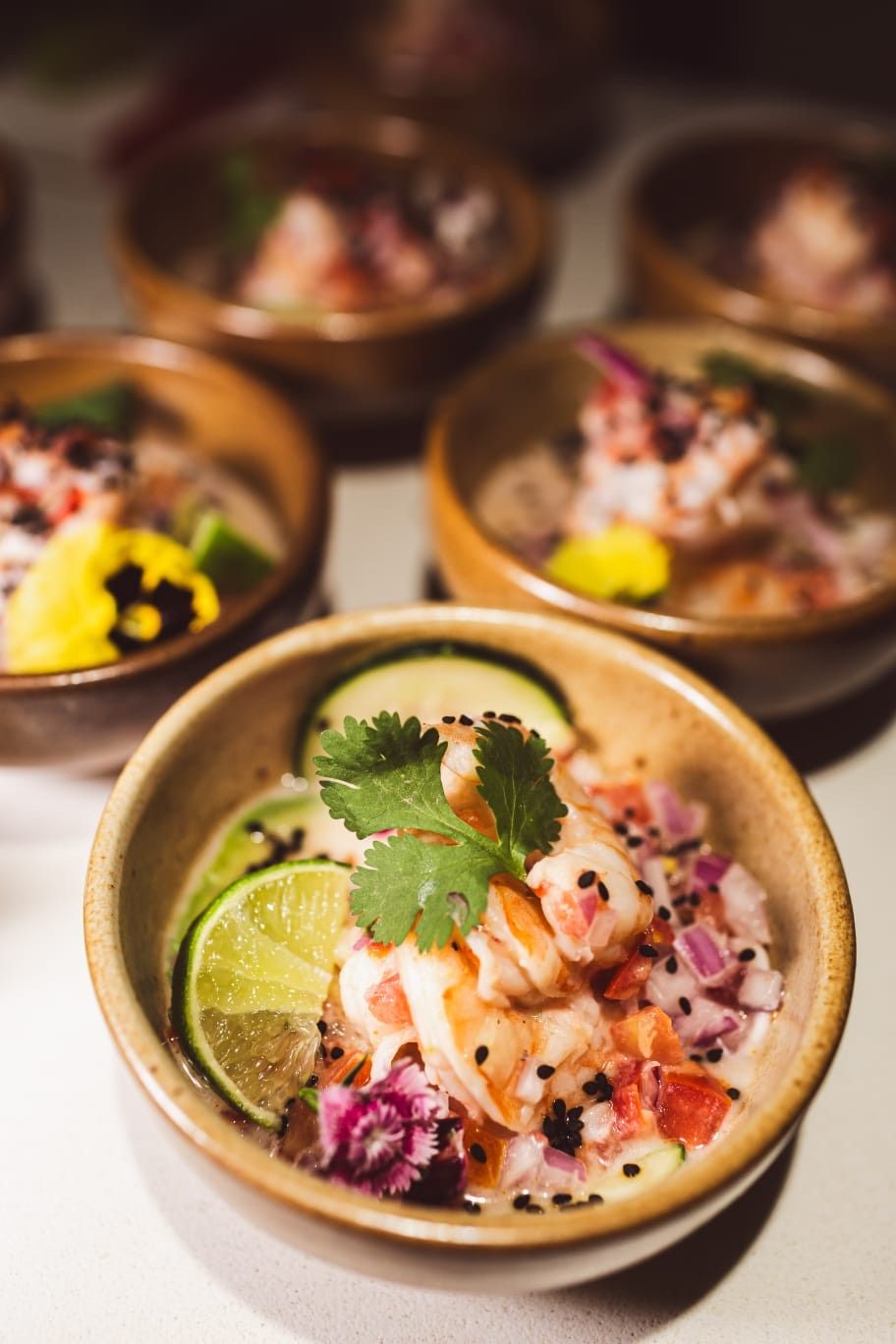 Private Tulum Cooking Class Experience in your Location