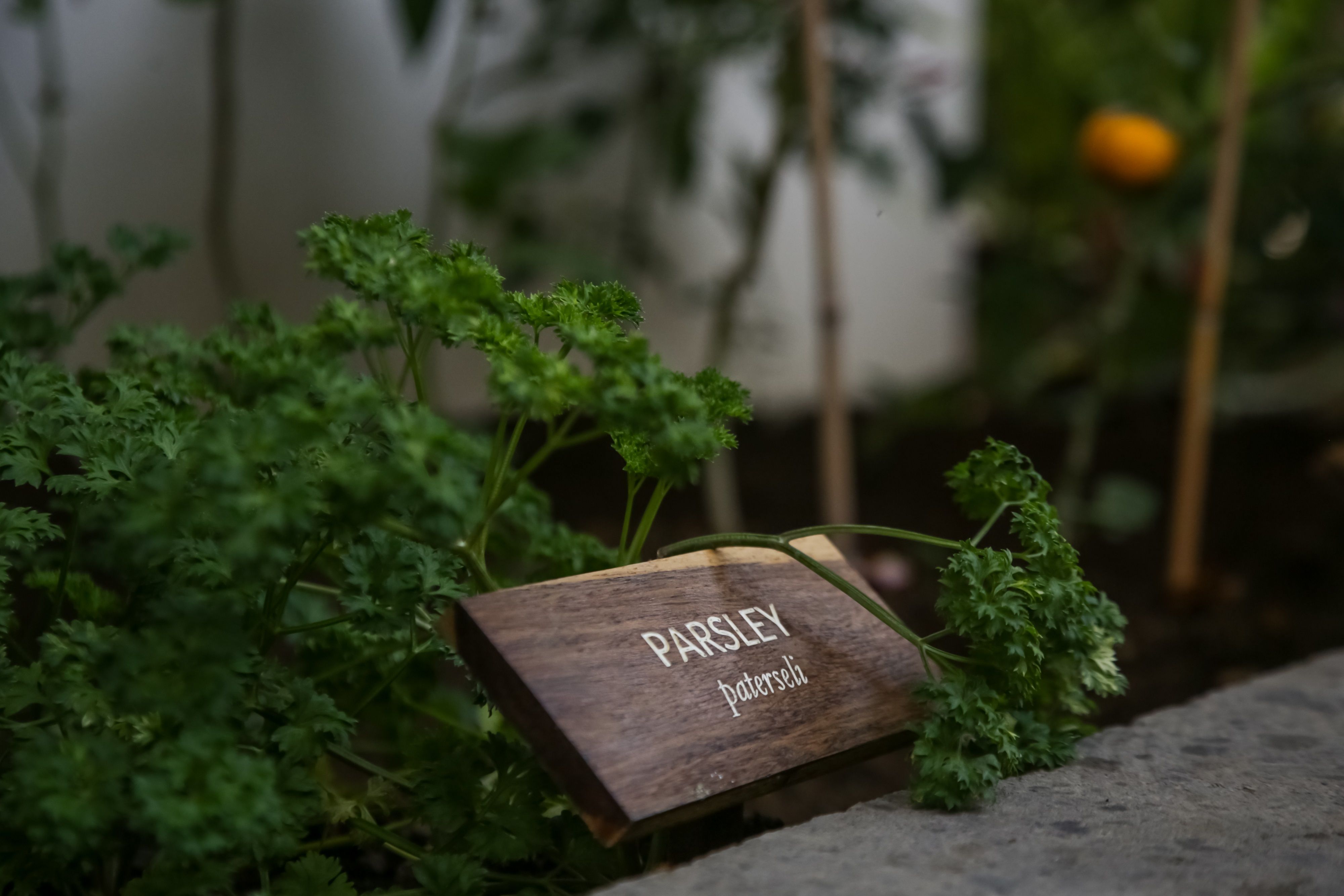 Private Cooking Class with Garden and Market Tour in a Tranquil Resort