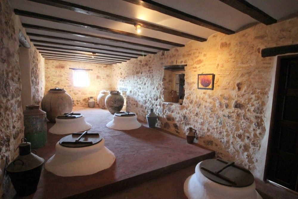 Visite privée d'une exploitation oléicole avec petit-déjeuner complet et dégustation d'huile d'olive inclus