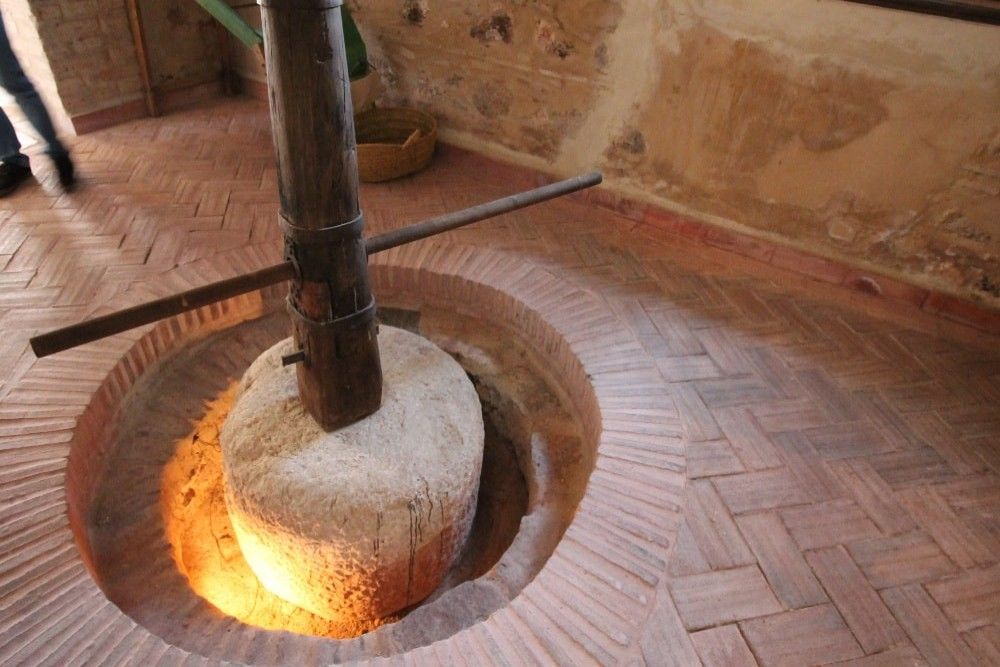 Visite privée d'une exploitation oléicole avec petit-déjeuner complet et dégustation d'huile d'olive inclus