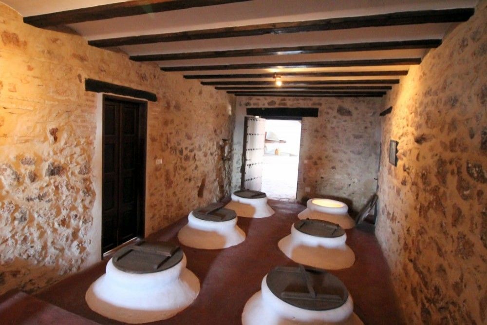 Visite privée d'une exploitation oléicole avec petit-déjeuner complet et dégustation d'huile d'olive inclus