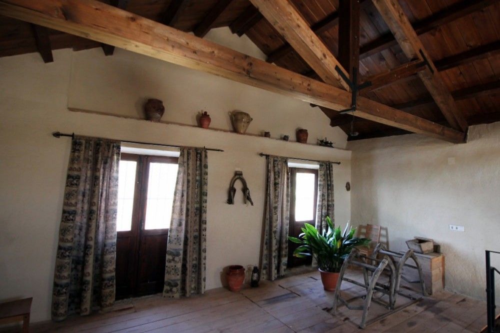 Visite privée d'une exploitation oléicole avec petit-déjeuner complet et dégustation d'huile d'olive inclus