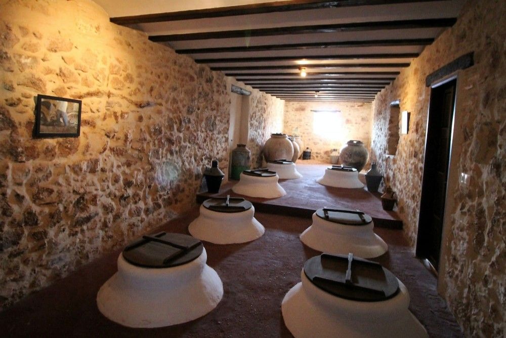 Visite privée d'une exploitation oléicole avec petit-déjeuner complet et dégustation d'huile d'olive inclus
