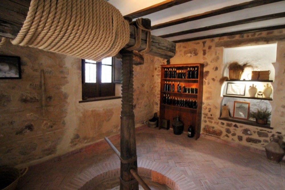 Visite privée d'une exploitation oléicole avec petit-déjeuner complet et dégustation d'huile d'olive inclus