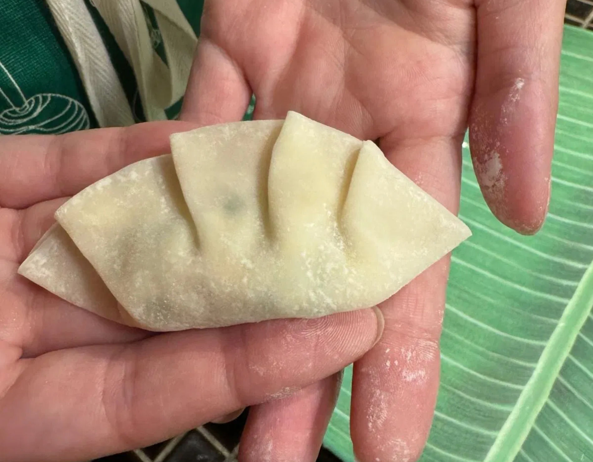 Private Vegan Ramen and Gyoza Cooking Experience in Kyoto