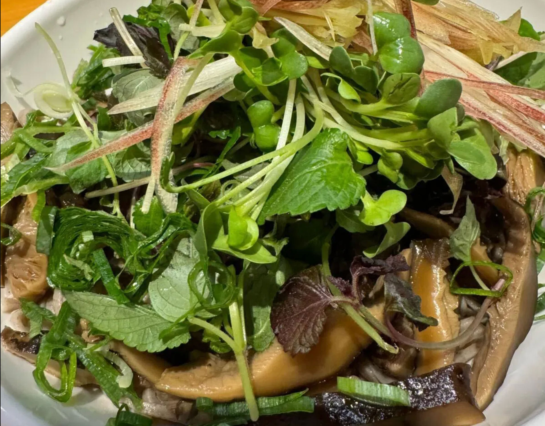 Private Vegan Ramen and Gyoza Cooking Experience in Kyoto