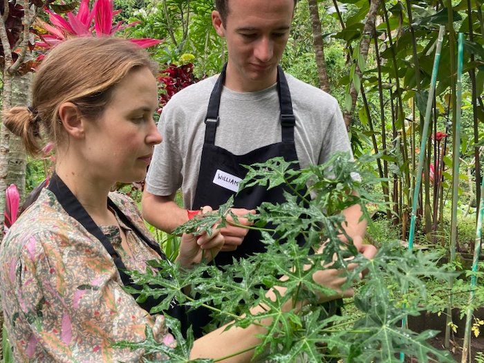 Pure Plant-Based Vegan Balinese Cooking Class in Organic Garden - 8 Course Feast