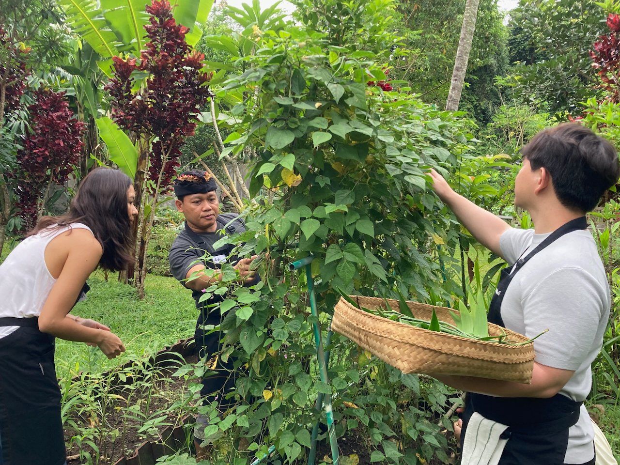 Pure Plant-Based Vegan Balinese Cooking Class in Organic Garden - 8 Course Feast