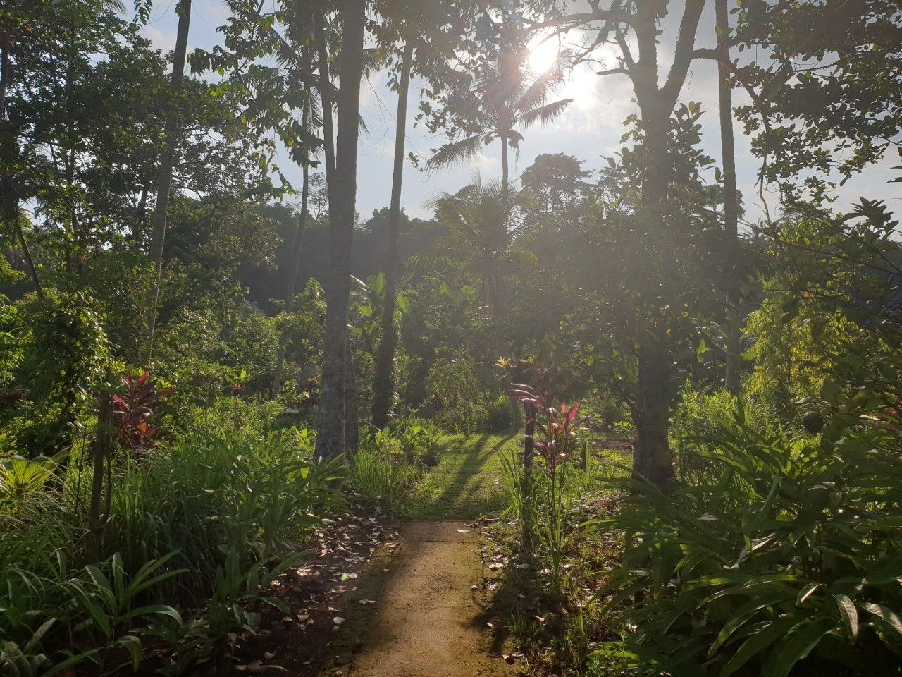 Pure Plant-Based Vegan Balinese Cooking Class in Organic Garden - 8 Course Feast