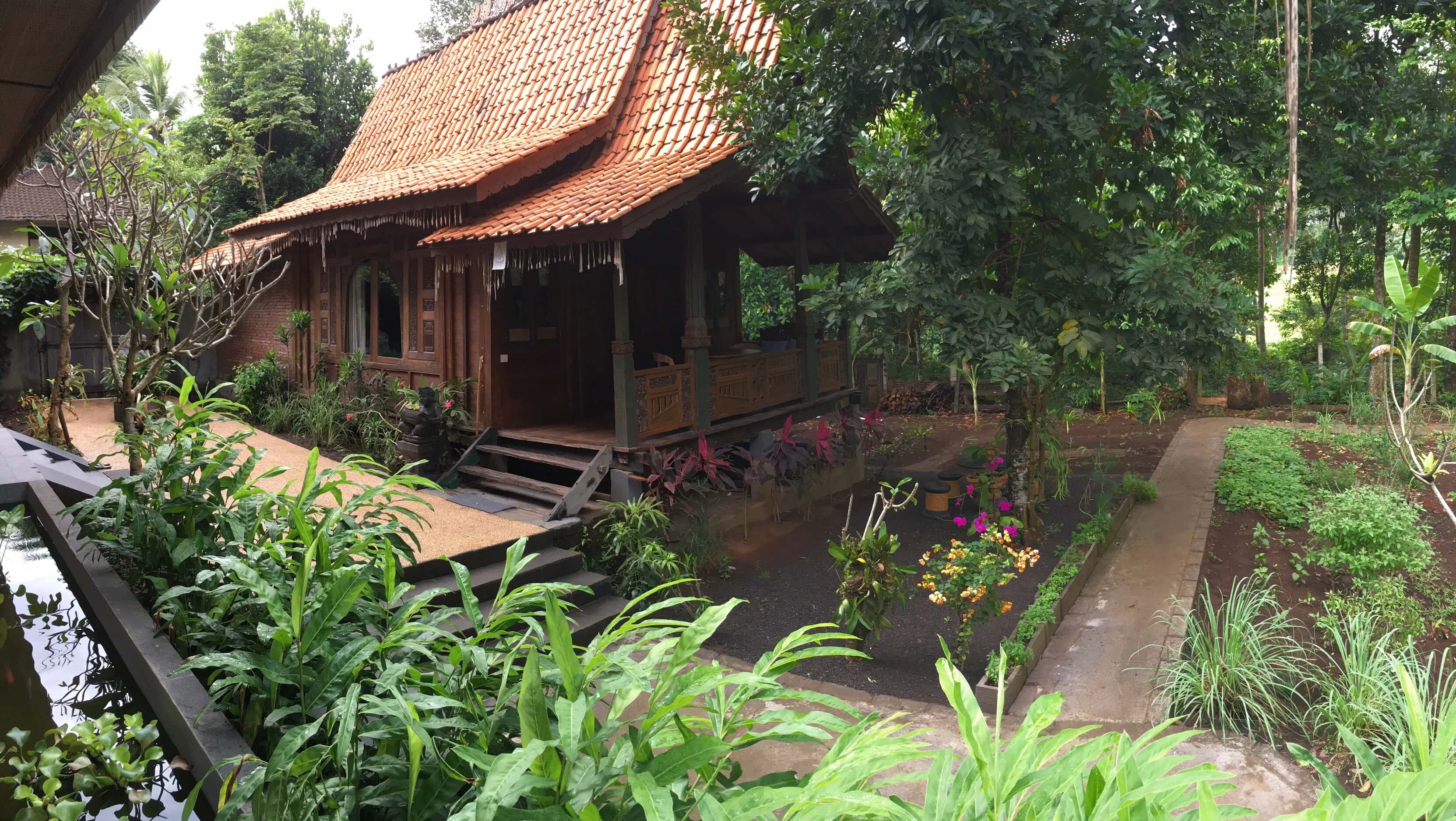 Pure Plant-Based Vegan Balinese Cooking Class in Organic Garden - 8 Course Feast