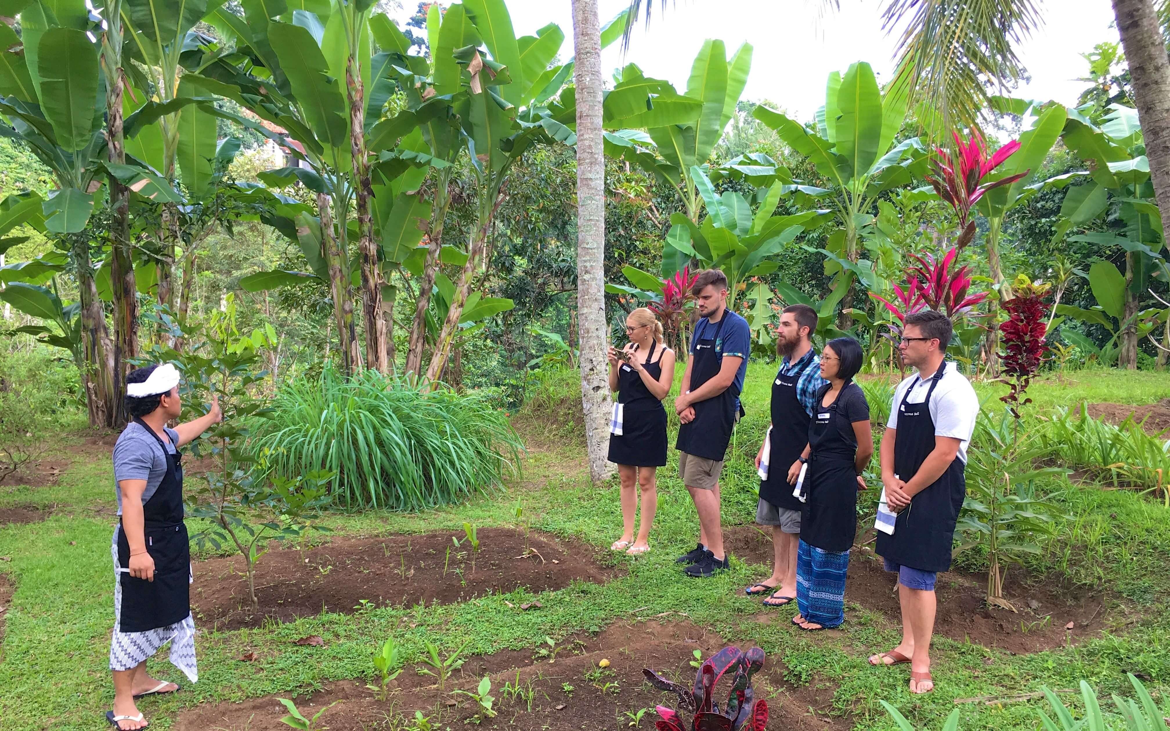 Pure Plant-Based Vegan Balinese Cooking Class in Organic Garden - 8 Course Feast