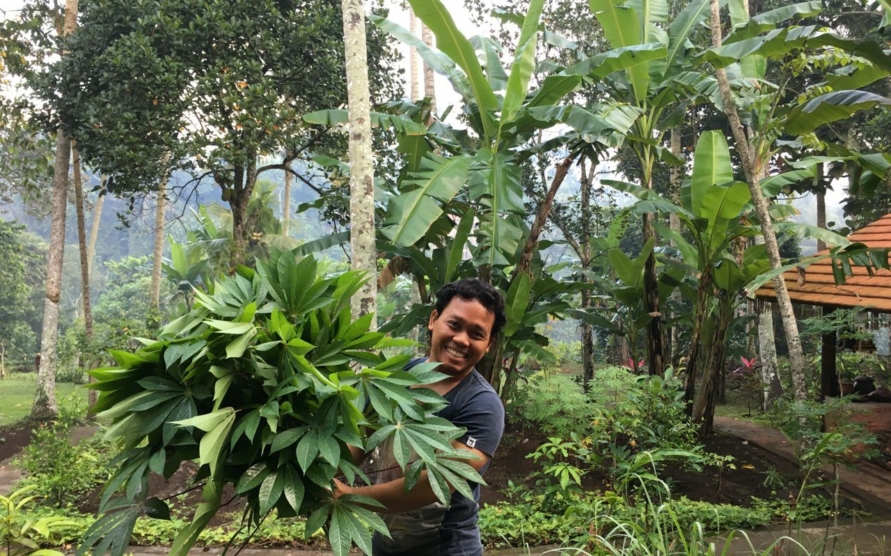 Pure Plant-Based Vegan Balinese Cooking Class in Organic Garden - 8 Course Feast