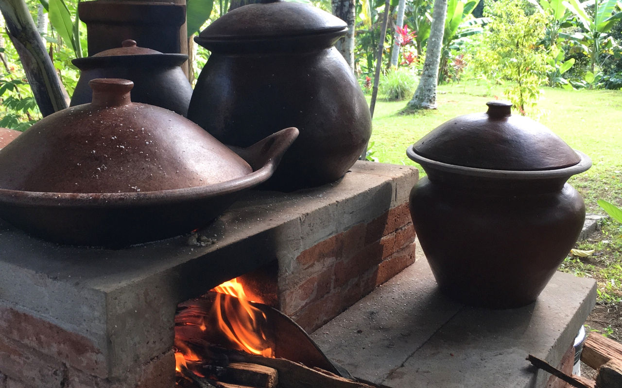 Pure Plant-Based Vegan Balinese Cooking Class in Organic Garden - 8 Course Feast