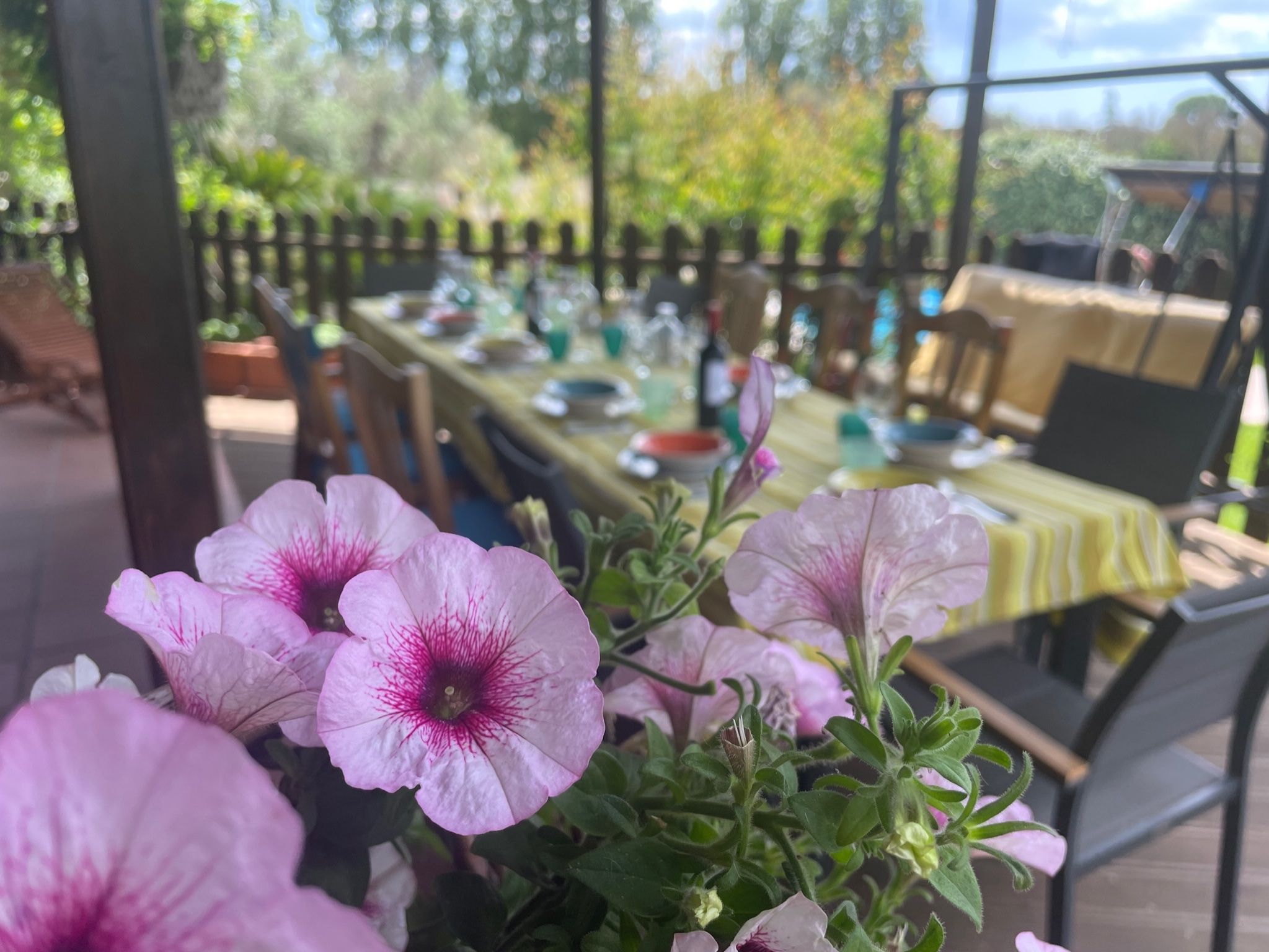 Esperienza di cucina italiana con degustazione di vini a Lecce
