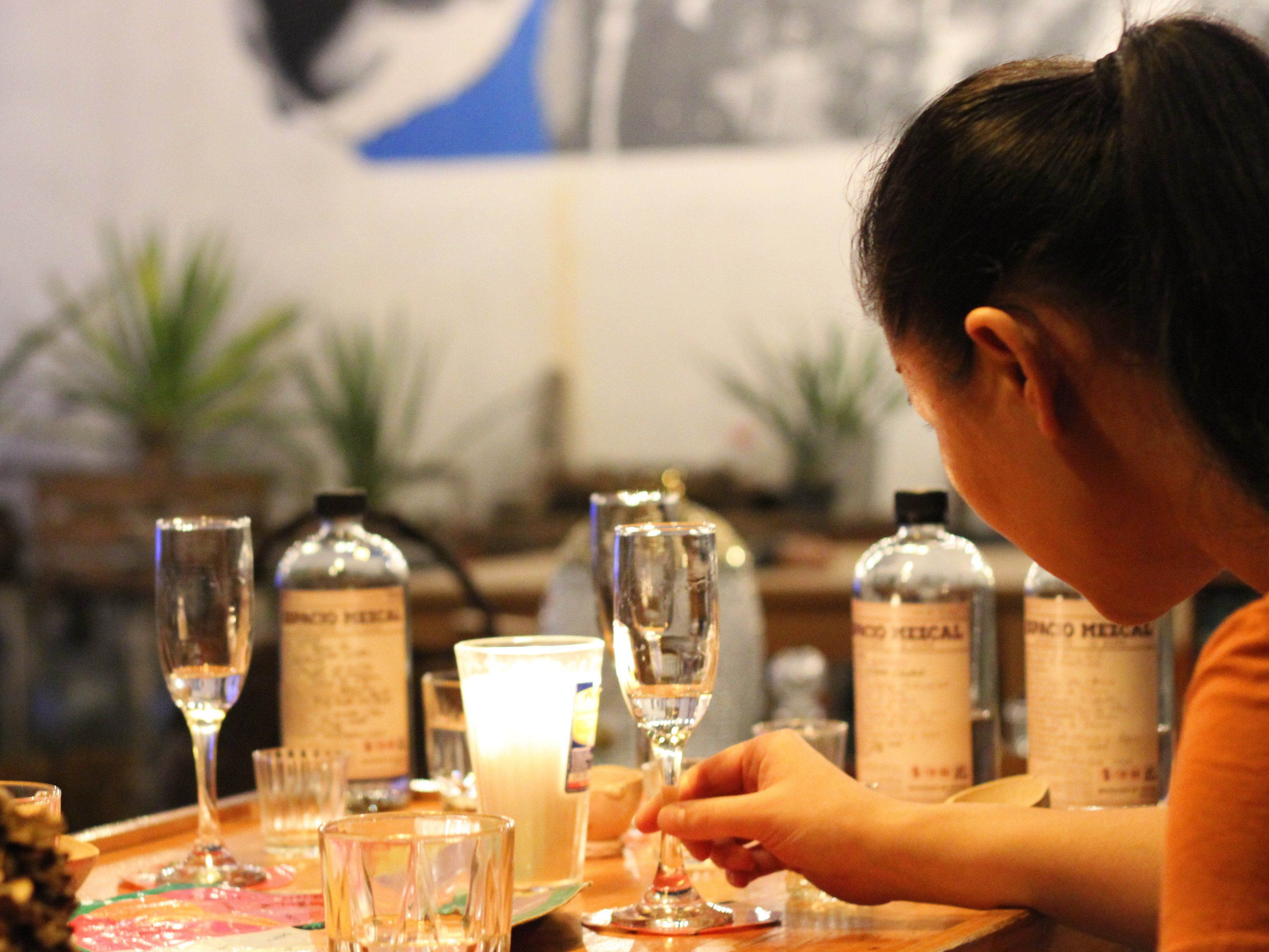 From Agave to Glass: Organic Mezcal Experience