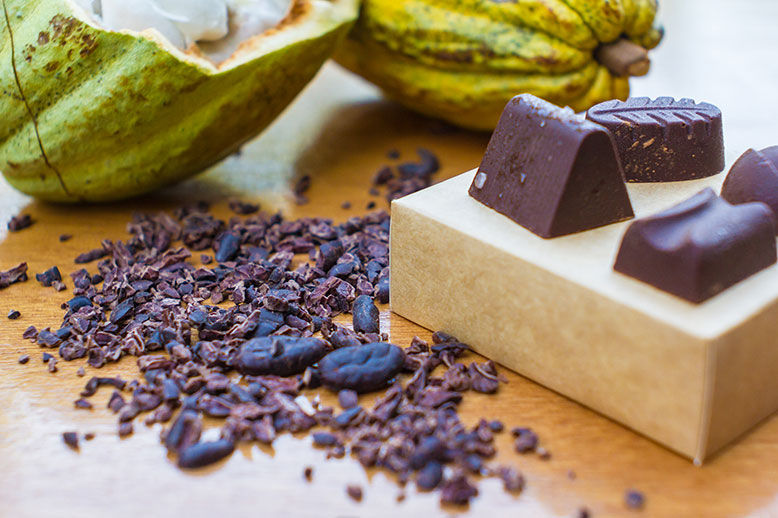 Rainforest Tasting Experience: An Adventure Through the Flavors of the Jungle