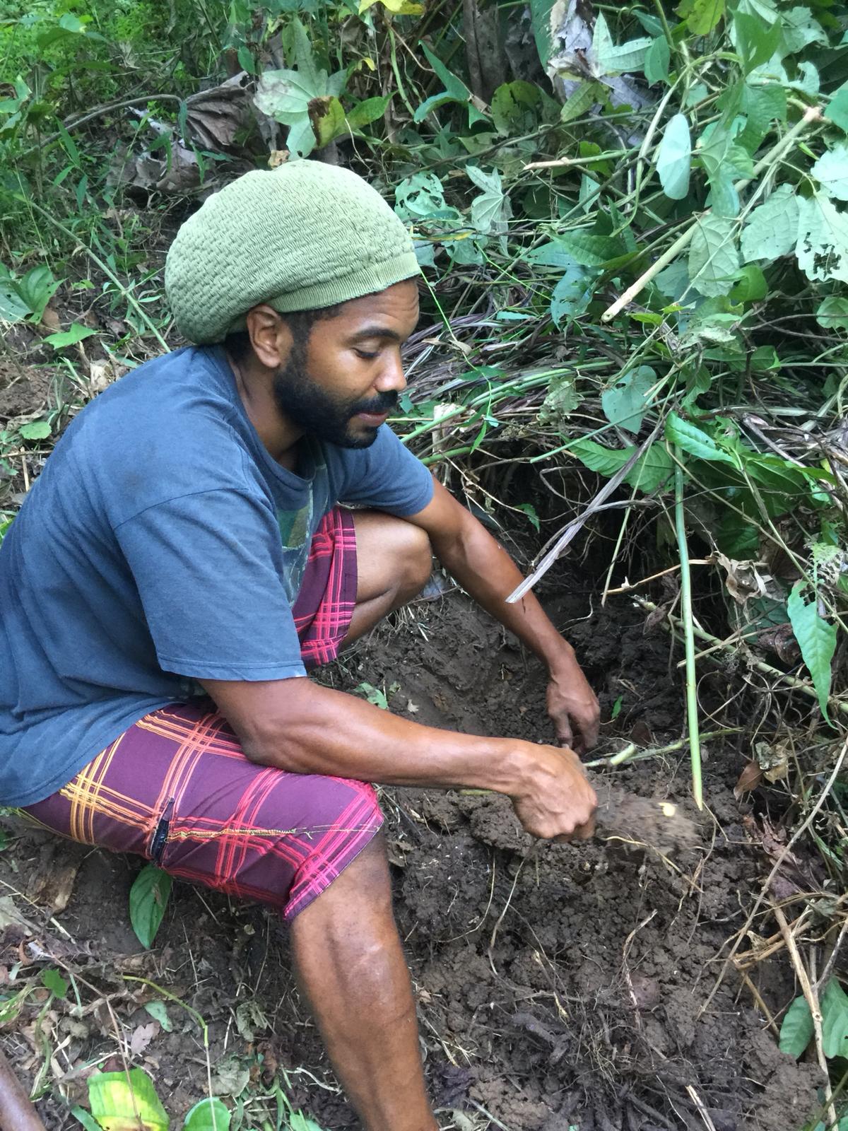 Rainforest Tasting Experience: An Adventure Through the Flavors of the Jungle