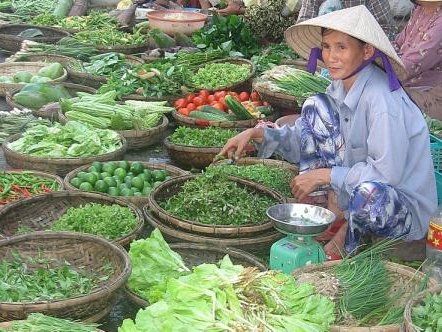 Excursion d'une journée de luxe au Pont Rouge : ferme biologique, excursion en bateau, visite du marché et atelie...