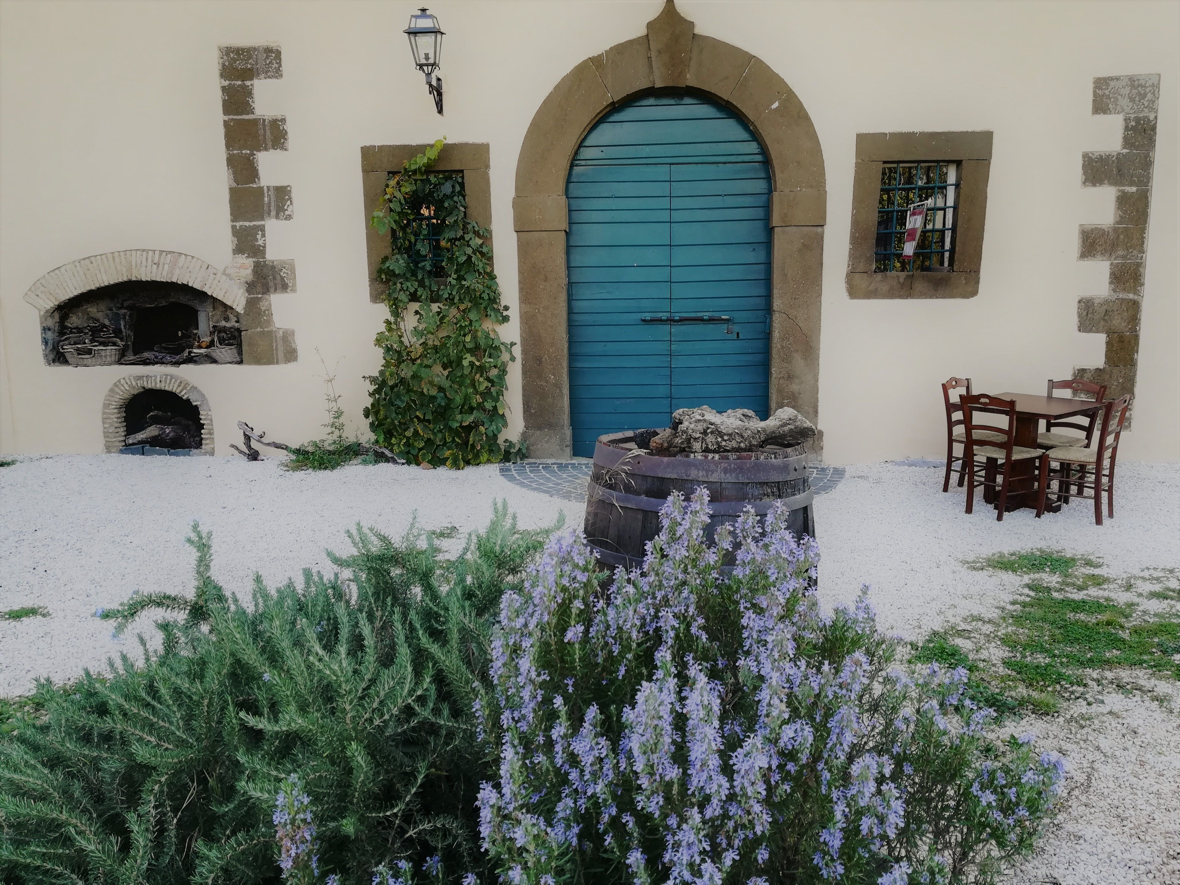 Minardi Frascati Winery Roman countryside Wine Tour with Gourmet Lunch