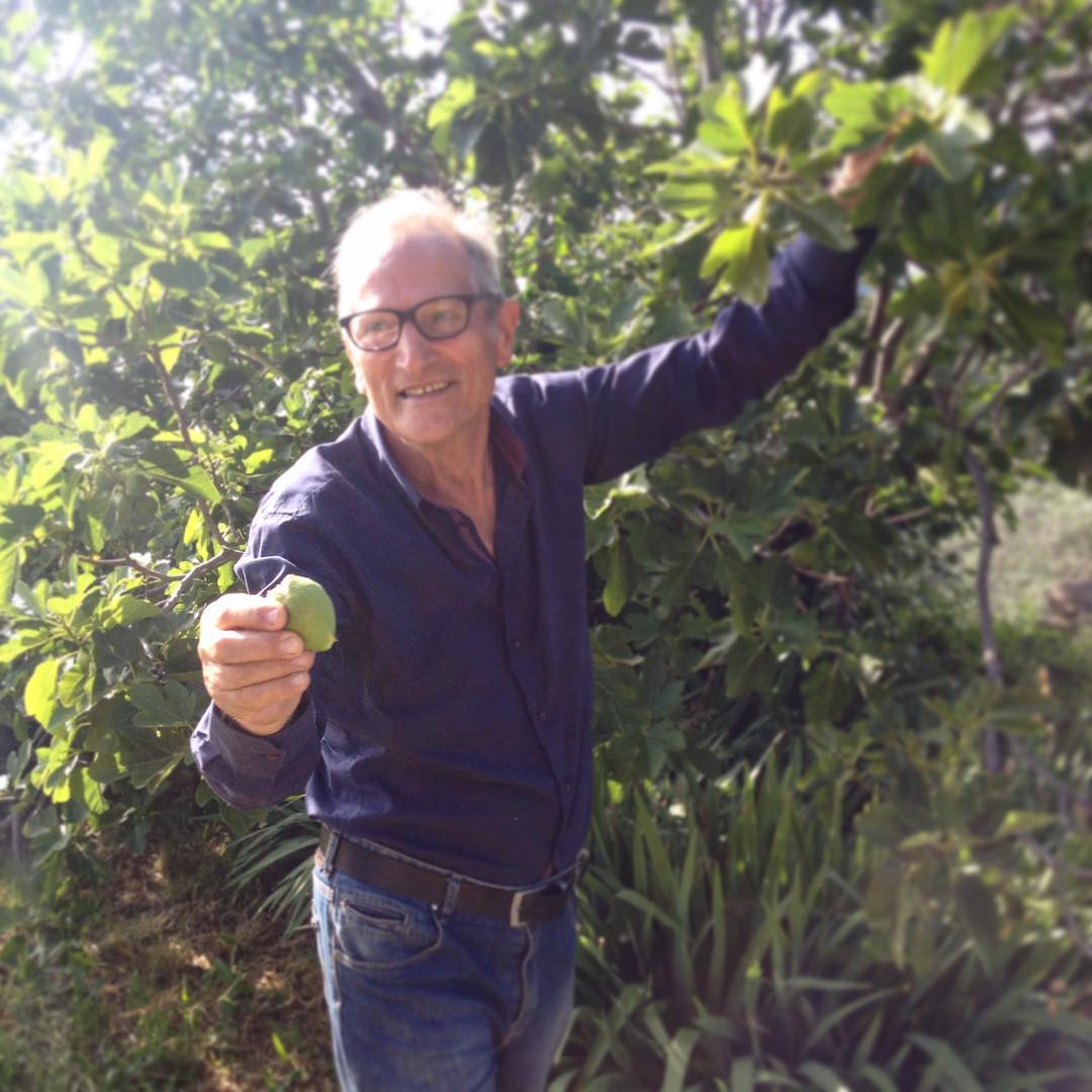 Pasta Making Class in Rome's Countryside with Winery Tour
