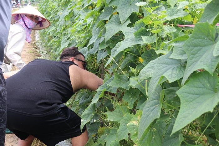 Rural Farm to Table: Farming, Market Tour and Cooking with Locals