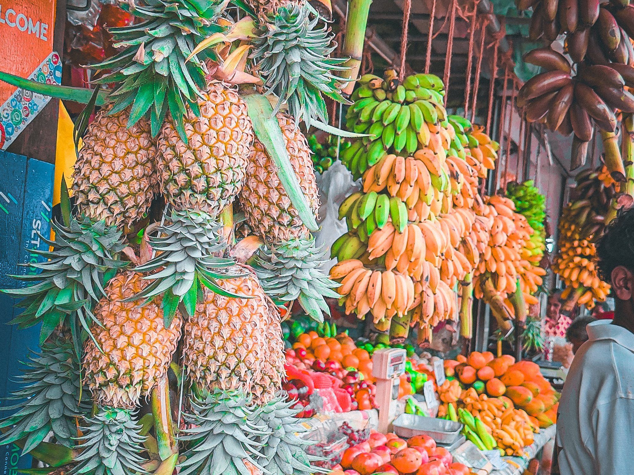 Corso di cucina rustica Colombo