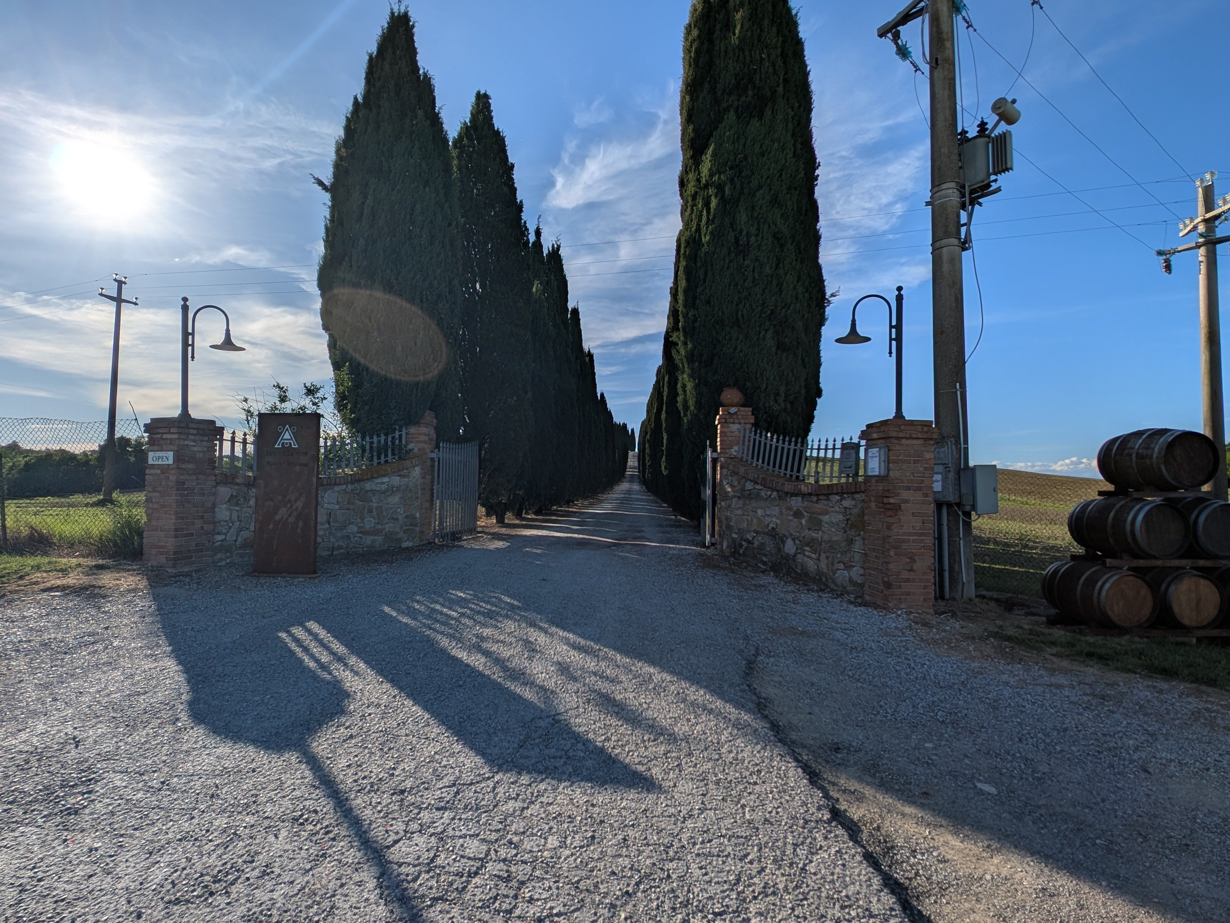 Toskanisches Kocherlebnis in San Gimignano mit handgemachter Pasta, Mittagessen und Wein