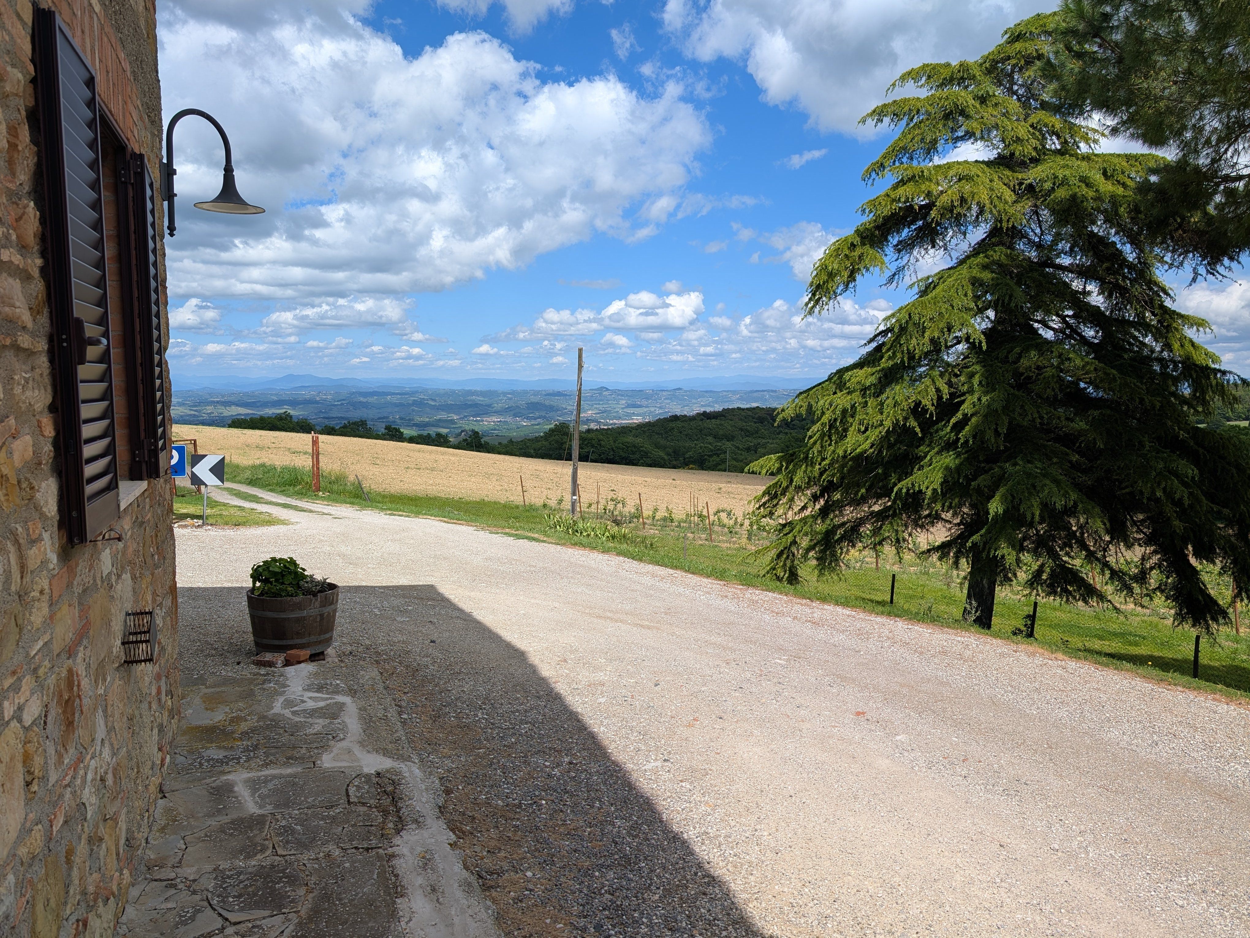 Toskanisches Kocherlebnis in San Gimignano mit handgemachter Pasta, Mittagessen und Wein