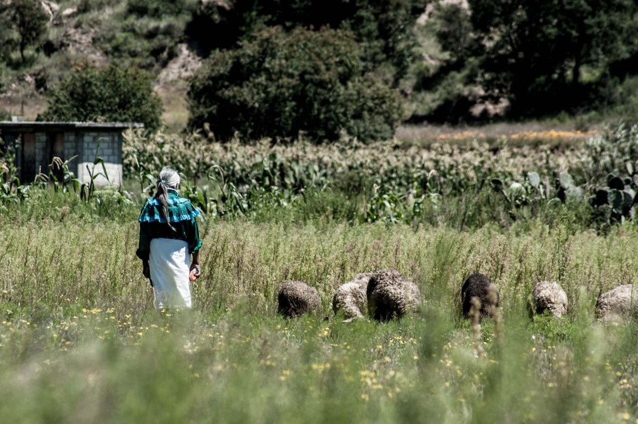 Traditional Mexican Cooking in a Small Otomí Community with a Master Artisan