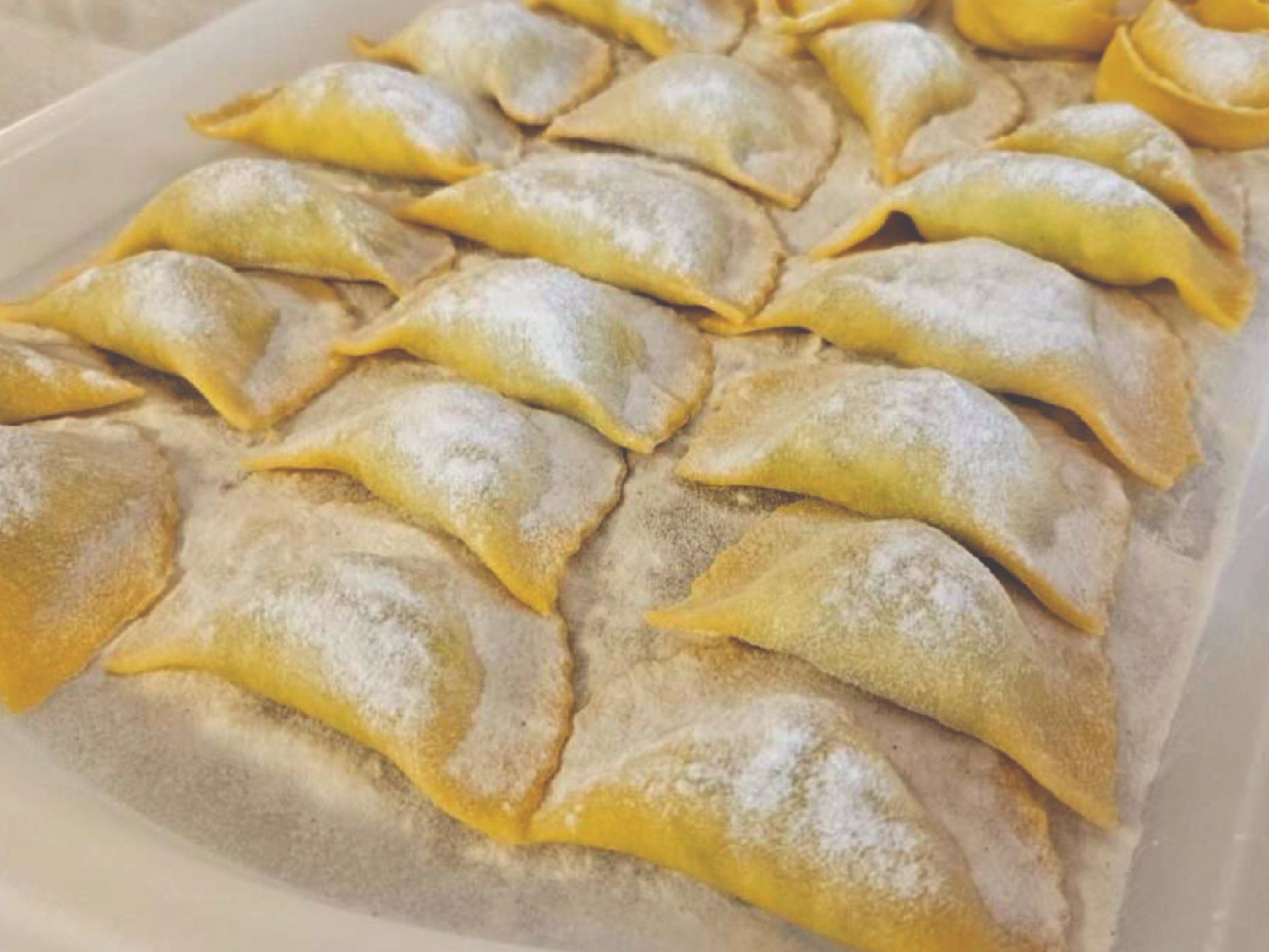 Step Into the Heart of Florence: Fresh Pasta and Tiramisu Experience