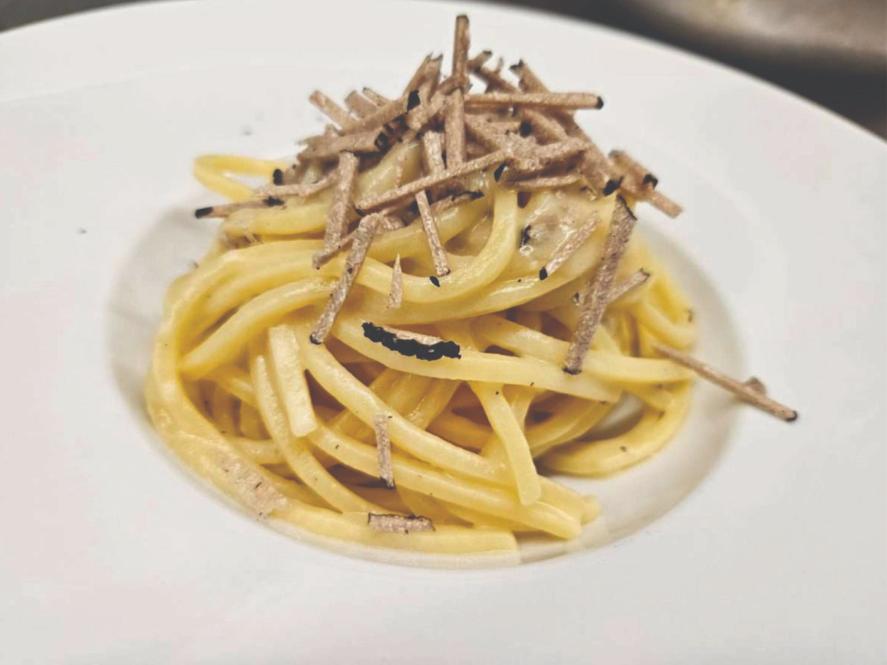 Step Into the Heart of Florence: Fresh Pasta and Tiramisu Experience