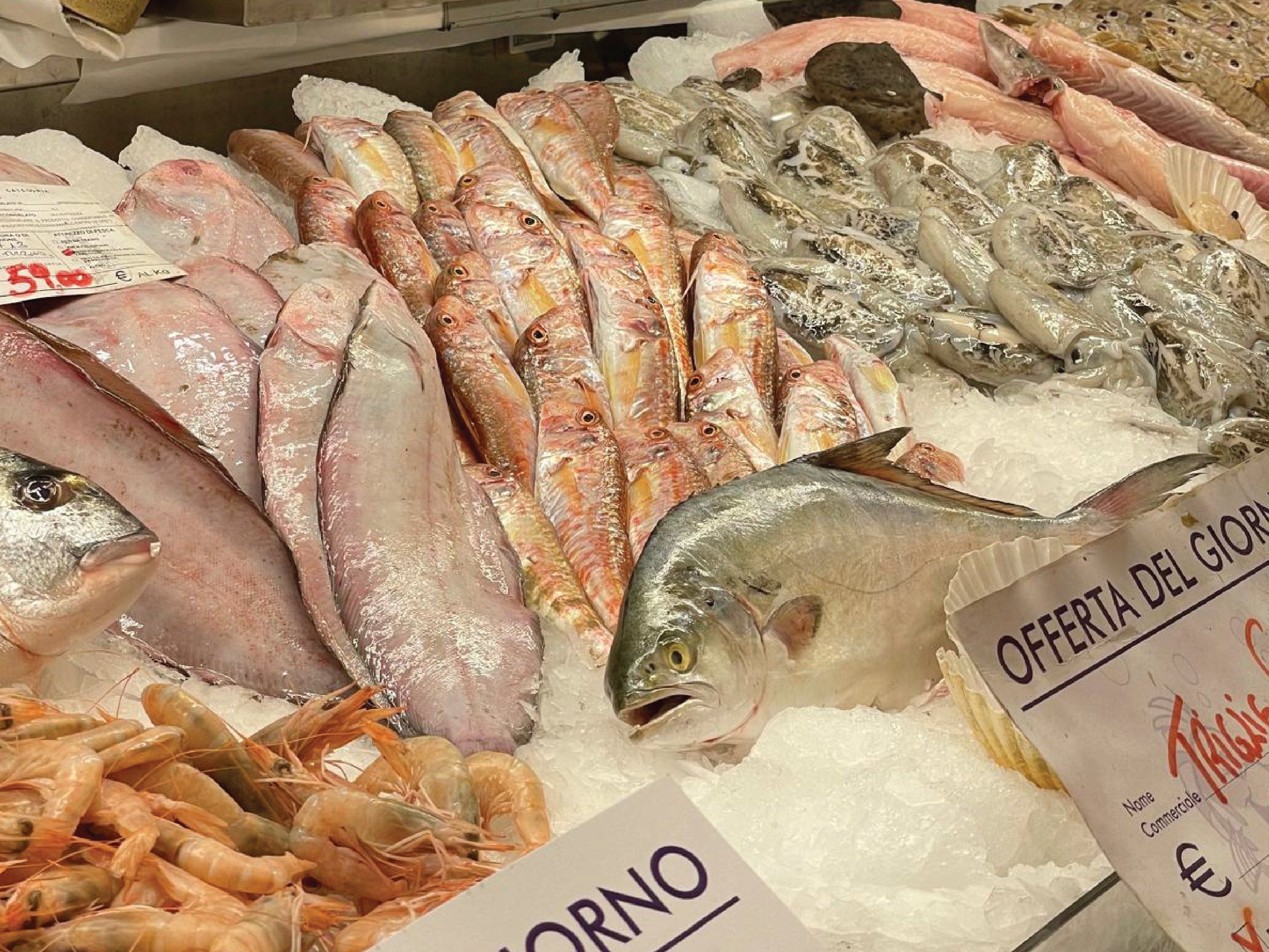 Fresh Pasta Making & Market Experience: A Culinary Journey in Florence