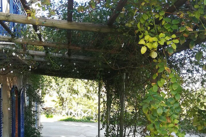 Sicilian Culinary Experience at the Country House