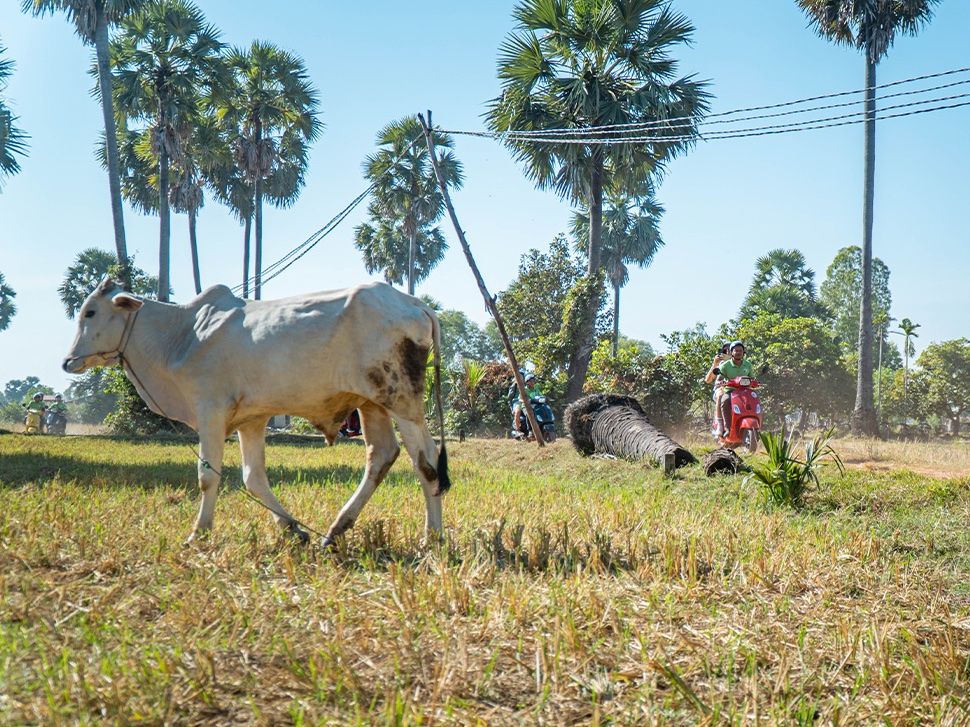 Cooking & Vespa Culinary Experience in Siem Reap