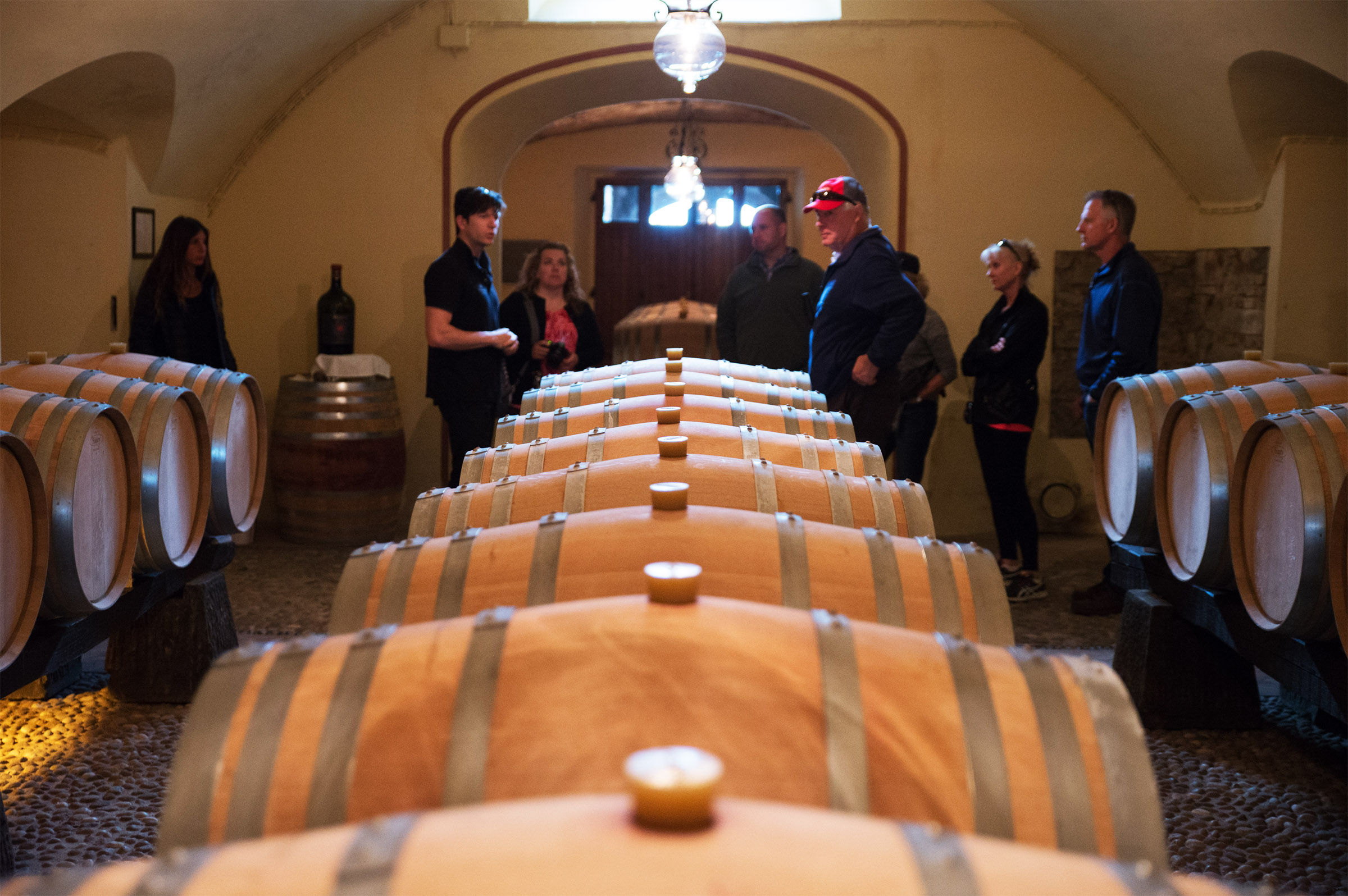 Chianti Full Immersive Wine & Olive Oil Experience